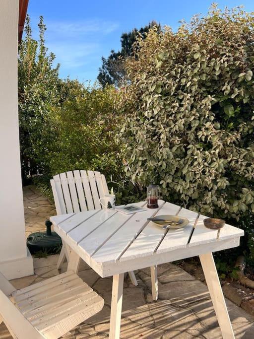 Agreable Maison Landaise Proche Du Lac Сангине Екстериор снимка