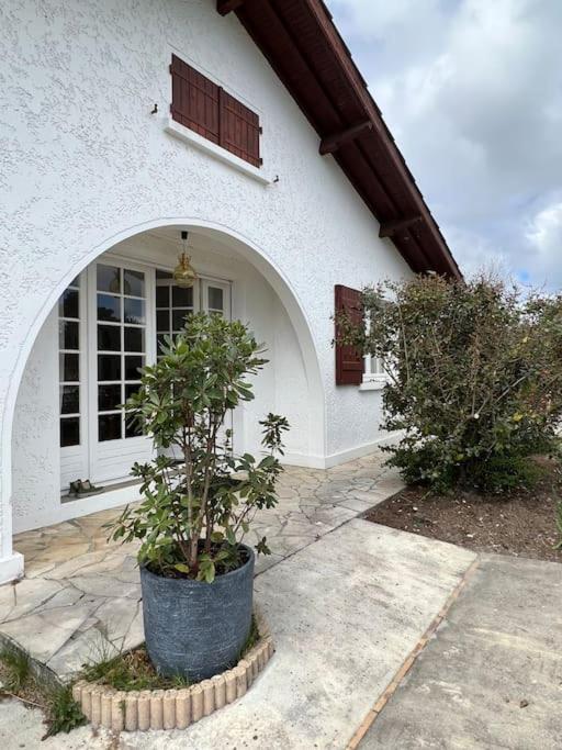 Agreable Maison Landaise Proche Du Lac Сангине Екстериор снимка